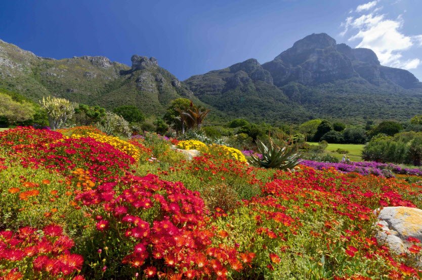 Kwelera National Botanical Garden, South Africa, South Africa